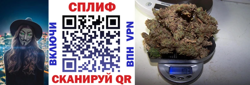 Магазины продажи наркотиков Сясьстрой МАРИХУАНА  блэк спрут зеркало  Метадон  ГАШИШ  ТГК  COCAIN  МЕФ 