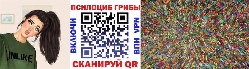 Псилоцибиновые грибы Psilocybine cubensis Сясьстрой